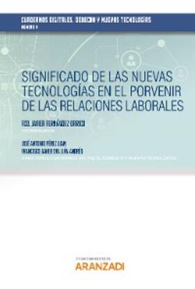 Pérez Juan / Sanjuán Andrés / Fernández Orrico | Significado de las nuevas tecnologías en el porvenir de las relaciones laborales | E-Book | sack.de