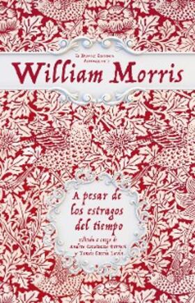 Constanza Ferrari / Fernández Rubio |  A pesar de los estragos del tiempo | eBook | Sack Fachmedien