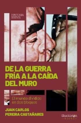 Pereira Castañares |  De la Guerra Fría a la caída del Muro | eBook | Sack Fachmedien