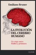 Bruner |  La evolución del cerebro humano | eBook | Sack Fachmedien