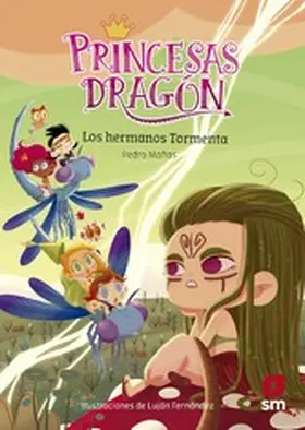 Mañas Romero |  Princesas Dragón 5: Los hermanos Tormenta | eBook | Sack Fachmedien