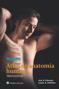 Vilensky / Hoffman / Rohen |  Atlas de anatomia humana. Memorama | Buch |  Sack Fachmedien