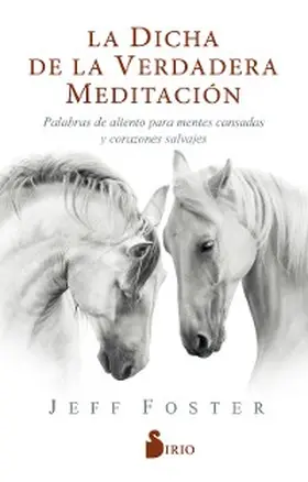Foster |  La dicha de la verdadera meditación | eBook | Sack Fachmedien