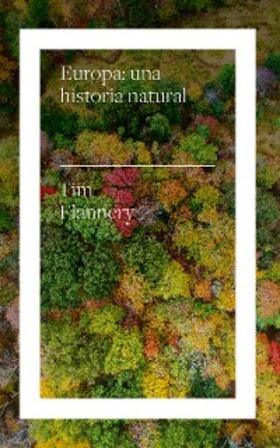 Flannery / Fuentes Avila |  Europa | eBook | Sack Fachmedien