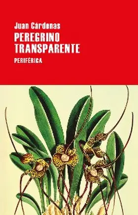 Cárdenas |  Peregrino transparente | eBook | Sack Fachmedien