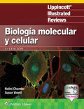 Chandar / Viselli |  LIR. Biología molecular y celular | Buch |  Sack Fachmedien
