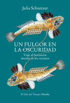 Schnetzer |  Un fulgor en la oscuridad | eBook | Sack Fachmedien