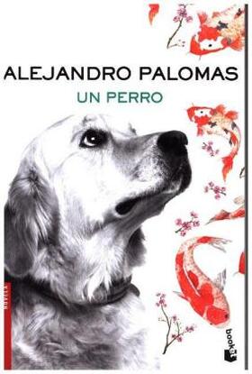 Palomas |  Un perro | Buch |  Sack Fachmedien