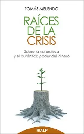 Melendo Granados |  Raíces de la crisis | eBook | Sack Fachmedien