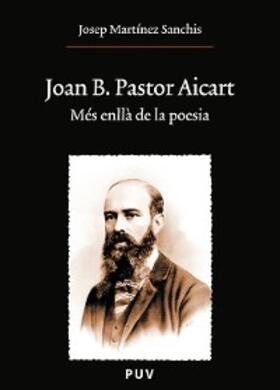 Martínez Sanchis |  Joan B. Pastor Aicart | eBook | Sack Fachmedien