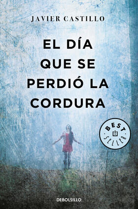 Castillo |  El día que se perdió la cordur | Buch |  Sack Fachmedien