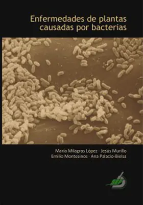 López / Murillo / Montesinos |  Enfermedades de plantas causadas por bacterias | eBook | Sack Fachmedien
