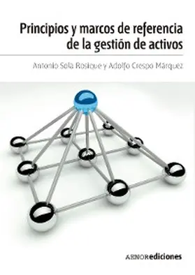 Sola Rosique / Crespo Márquez |  Principios y marcos de referencia de la gestión de activos | eBook | Sack Fachmedien