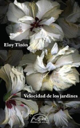 Tizón |  Velocidad de los jardines | eBook | Sack Fachmedien