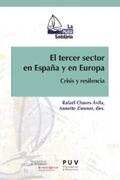 AAVV |  El tercer sector en España y en Europa | eBook | Sack Fachmedien