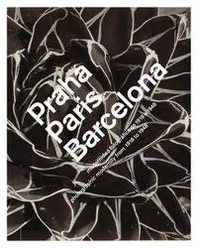 Bajac / Balsells |  Praha, Paris, Barcelona | Buch |  Sack Fachmedien