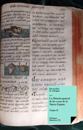 De Sahagún / Temprano |  Historia general de las cosas de la Nueva España II | eBook | Sack Fachmedien