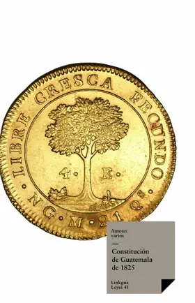 Autores |  Constitución de Guatemala de 1825 | eBook | Sack Fachmedien