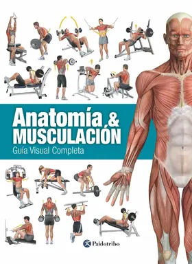 Cánovas Linares |  Anatomía & Musculación | eBook | Sack Fachmedien