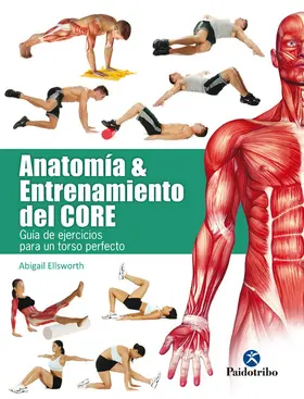 Ellsworth |  Anatomía y entrenamiento del core | eBook | Sack Fachmedien