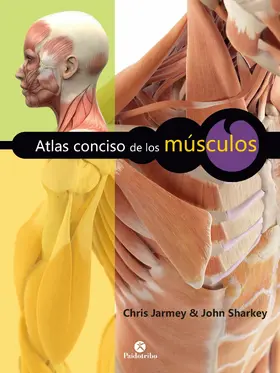 Jarmey / Sharkey |  Atlas conciso de los músculos (Color) | eBook | Sack Fachmedien