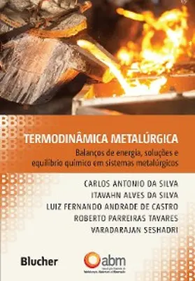 Silva / Castro / Tavares |  Termodinâmica metalúrgica | eBook | Sack Fachmedien
