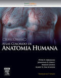 Spratt / Loukas / Abrahams |  McMinn Atlas Colorido de Anatomia Humana | eBook | Sack Fachmedien