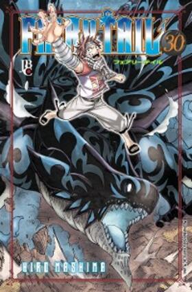 Mashima |  Fairy Tail vol. 30 | eBook | Sack Fachmedien
