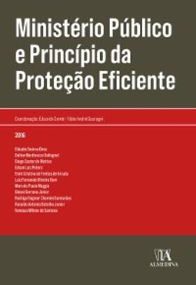 Cambi / Guaragni |  Ministério Público e Princípio da Proteção Eficiente | eBook | Sack Fachmedien