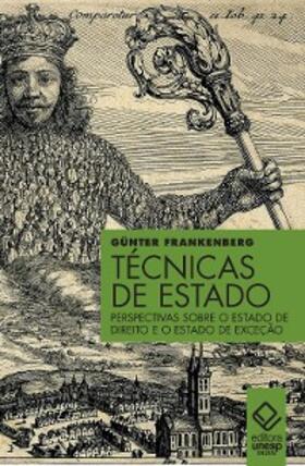 Frankenberg |  Técnicas de Estado | eBook | Sack Fachmedien