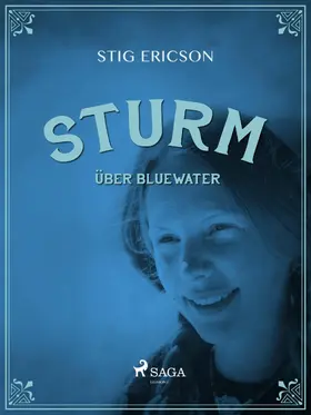Ericson |  Sturm über Bluewater | eBook | Sack Fachmedien
