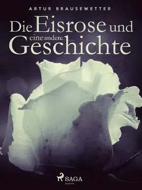 Brausewetter |  Die Eisrose und eine andere Geschichte | eBook | Sack Fachmedien