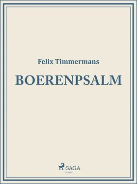 Timmermans |  Boerenpsalm | eBook | Sack Fachmedien