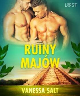 Salt |  Ruiny Majów - opowiadanie erotyczne | eBook | Sack Fachmedien