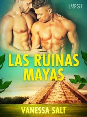 Salt |  Las ruinas mayas | eBook | Sack Fachmedien