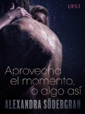Södergran |  Aprovecha el momento, o algo así - Relato erótico | eBook | Sack Fachmedien