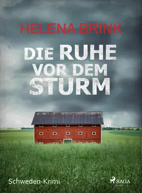 Brink |  Die Ruhe vor dem Sturm - Schweden-Krimi | eBook | Sack Fachmedien