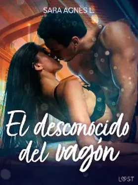 L. |  El desconocido del vagón | eBook | Sack Fachmedien