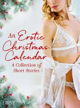 Authors |  An Erotic Christmas Calendar: A Collection of Short Stories | eBook | Sack Fachmedien