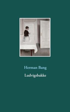 Bang |  Ludvigsbakke | Buch |  Sack Fachmedien