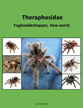 Andersen |  Theraphosidae | eBook | Sack Fachmedien