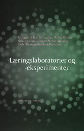 Adriansen / Dupret / Høyrup |  Læringslaboratorier og -eksperimenter | eBook | Sack Fachmedien