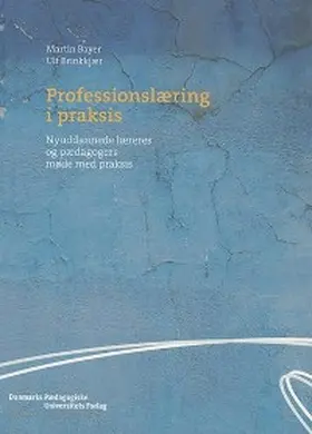 Bayer / Brinkkjaer |  Professionslæring i praksis | eBook | Sack Fachmedien