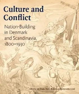 Krogh / Grand / Mednick |  Culture and Conflict | eBook | Sack Fachmedien