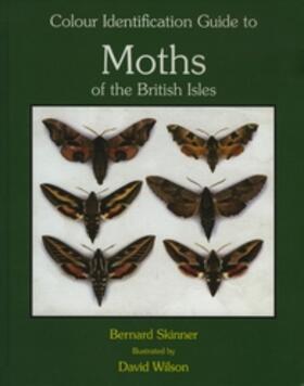 Skinner / Wilson |  Colour Identification Guide to the Moths of the British Isles | Buch |  Sack Fachmedien