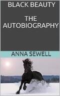 Sewell |  Black beauty the autobiography of a horse | eBook | Sack Fachmedien