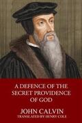 Calvin / Cole |  A Defence of the Secret Providence of God | eBook | Sack Fachmedien