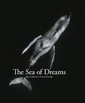 Swann / Simeone |  The Sea of Dreams | Buch |  Sack Fachmedien