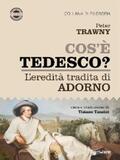 Trawny / cura di Tiziano Tanzini |  Cos’è tedesco? L’eredità tradita di Adorno | eBook | Sack Fachmedien
