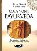 Morandi / Tosto |  Cosa non è l’Ayurveda | eBook | Sack Fachmedien